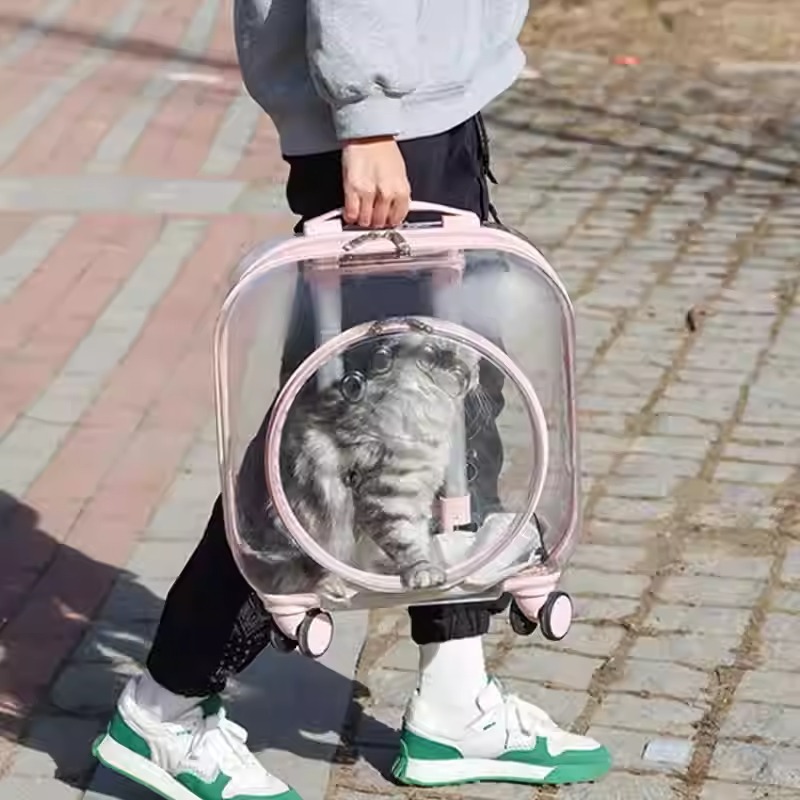 imgi_7_O1CN01iY3DFI1uc9mxqzFYN_!!2212413136057.jpg_q50.jpg_