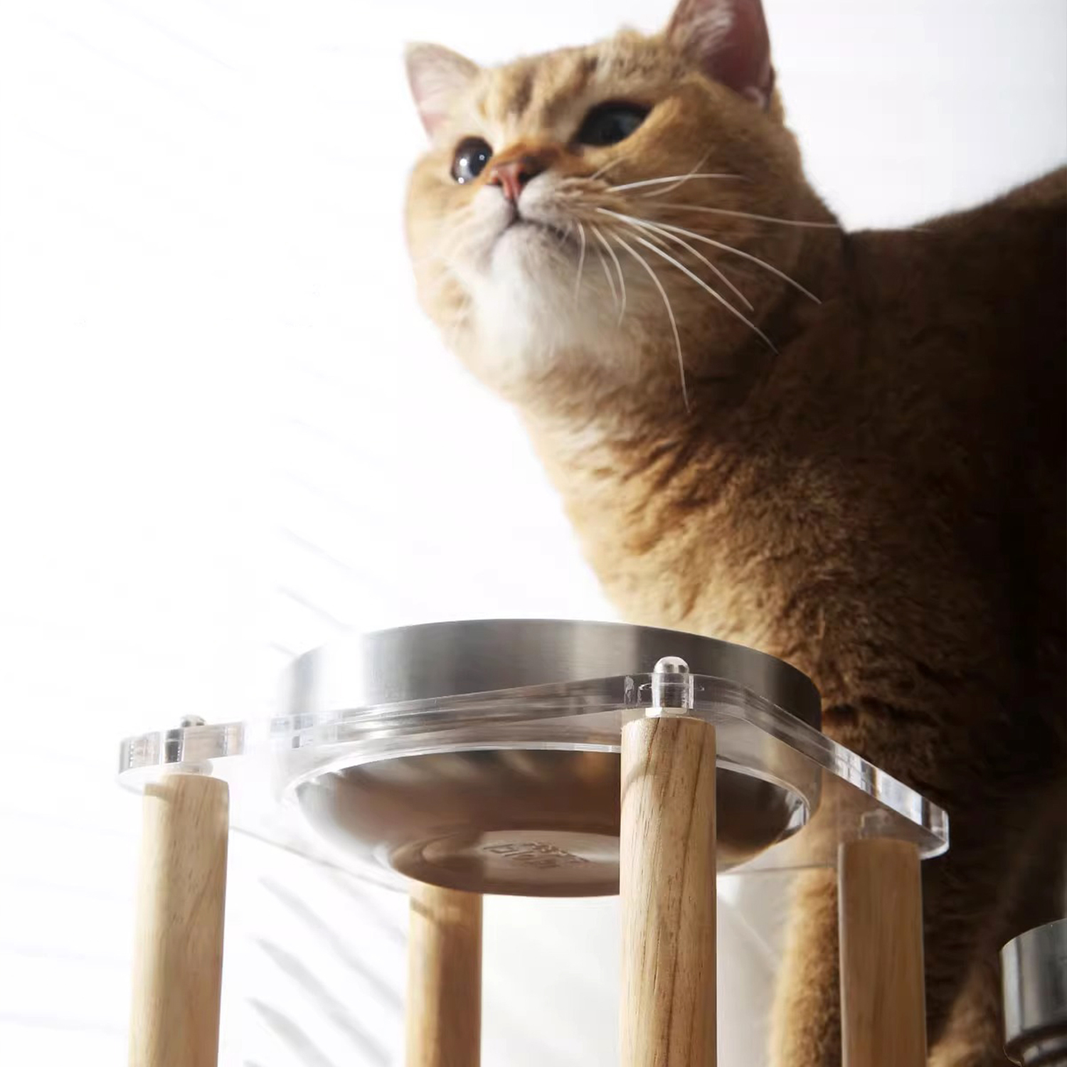 Stainless Steel Bowl_Acrylic Stand_4