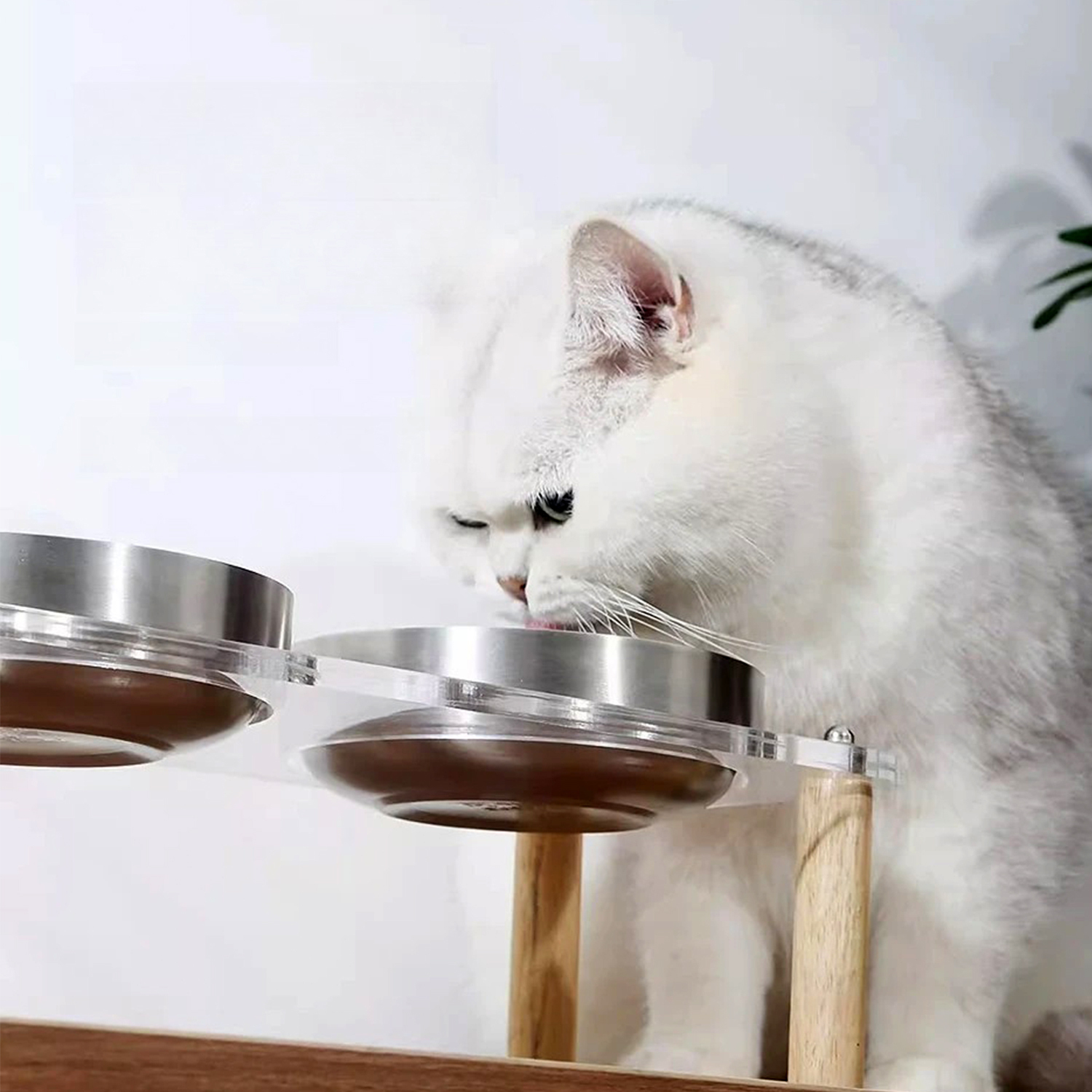 Stainless Steel Bowl_Acrylic Stand_1