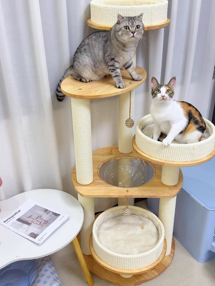 O1CN01iAw5kC20CPTE21xKM___4611686018427381357-0-tbbala.jpg_960x960.jpg_