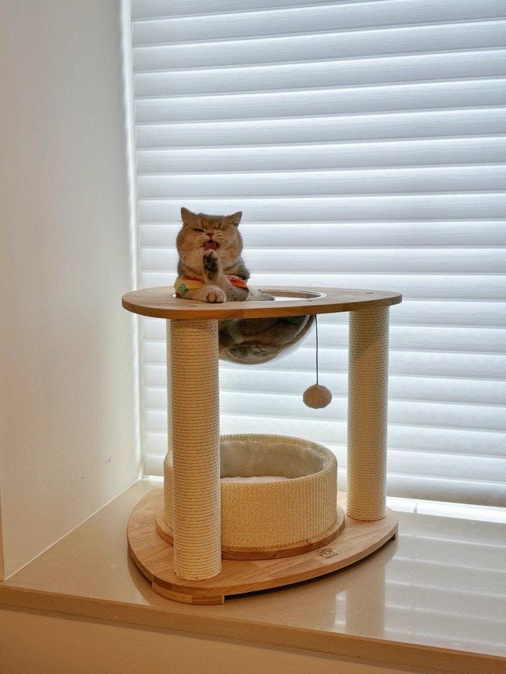 imgi_1_O1CN017nEzTF1Q2x3xDtHox_!!4611686018427384799-0-tbbala.jpg_960x960.jpg_