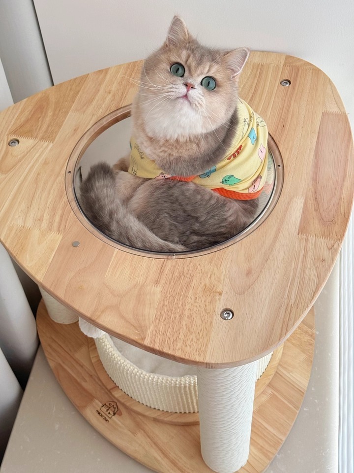 imgi_1_O1CN01rq61wo1Q2x3zHMm9Q_!!4611686018427384799-0-tbbala.jpg_960x960.jpg_