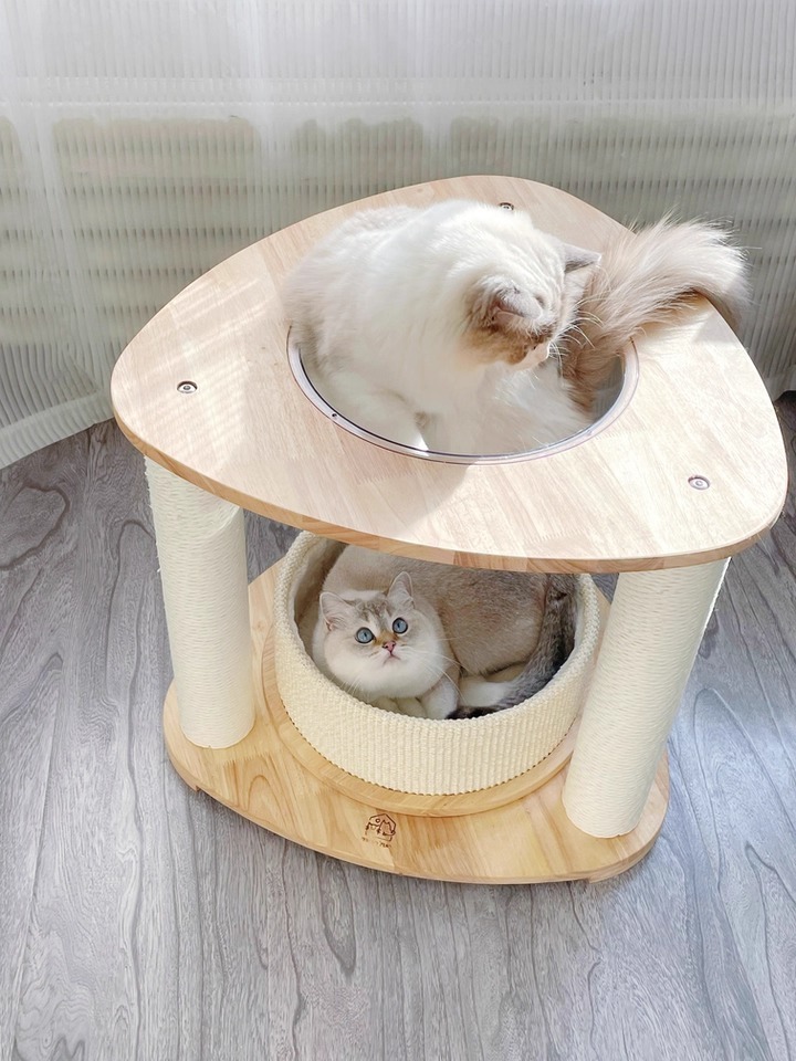 imgi_1_O1CN01YO5qBV26iMkABgkb8_!!4611686018427386287-0-tbbala.jpg_960x960.jpg_