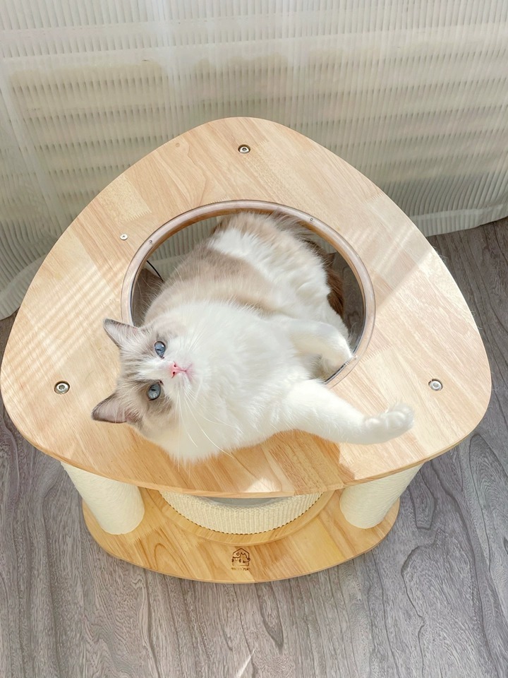 imgi_1_O1CN01ibxJQX26iMkBRafnw_!!4611686018427386287-0-tbbala.jpg_960x960.jpg_