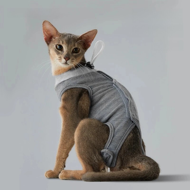 imgi_1_O1CN015LoOL920maZ5E666f_!!752976892