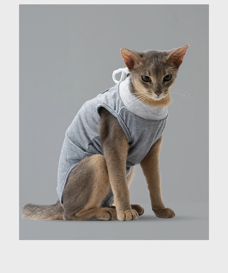 imgi_1_O1CN016lsE6Q20maZAGUzkF_!!752976892