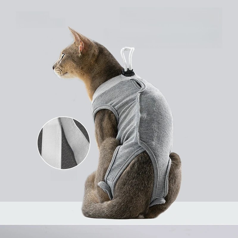 imgi_1_O1CN01LAOPPG20maYza5ND1_!!752976892