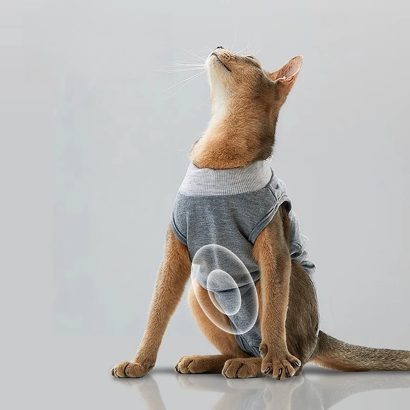 imgi_1_O1CN01oZdQ7y20maZ4D3nRt_!!752976892