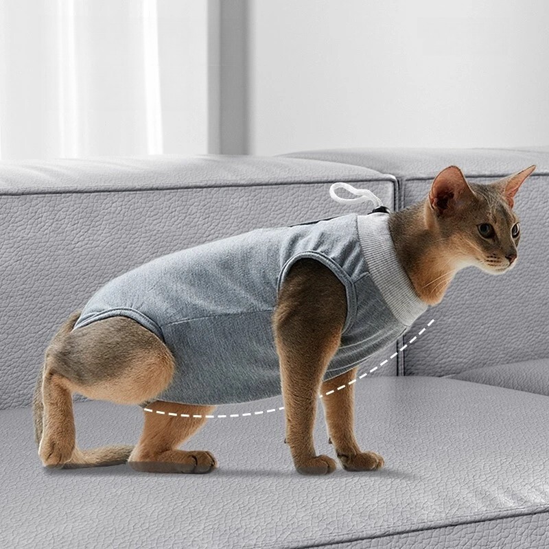 imgi_1_O1CN018KVLeT20maZ5zNnGA_!!752976892