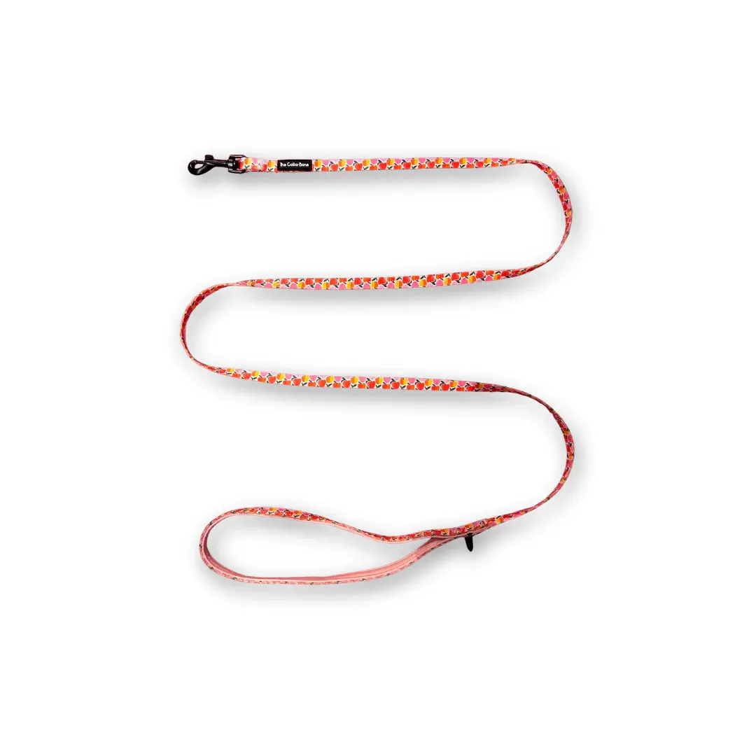 CB Apple Leash