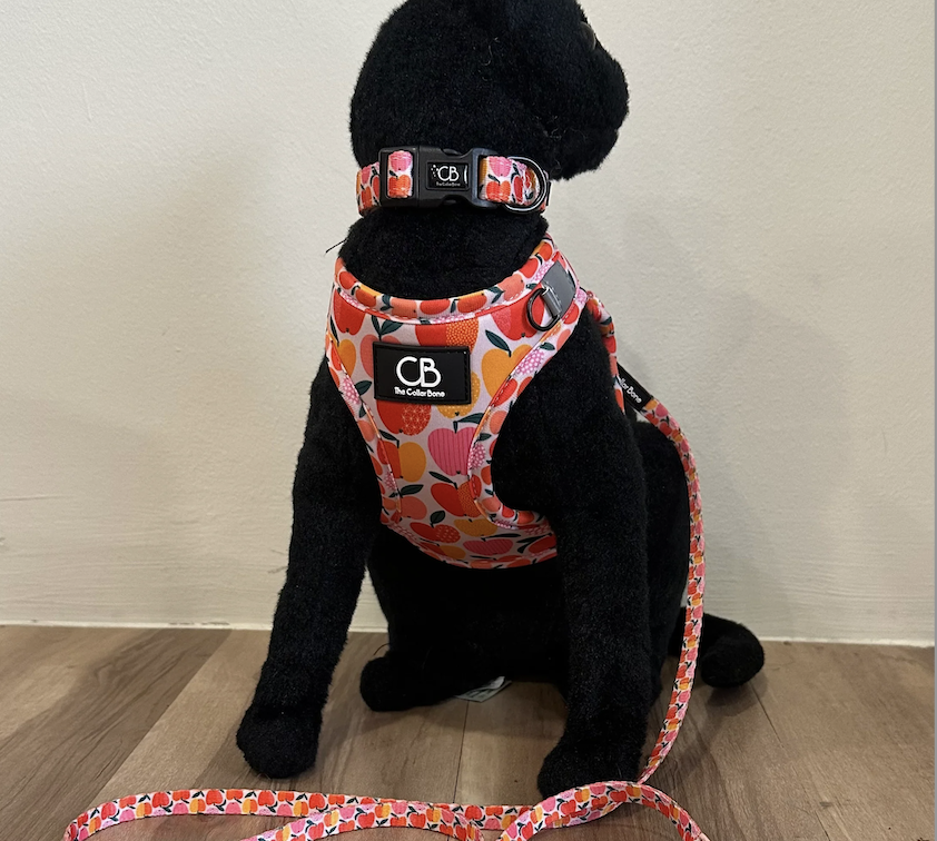 Screenshot 2025-08-16 at 12.03.11 PM