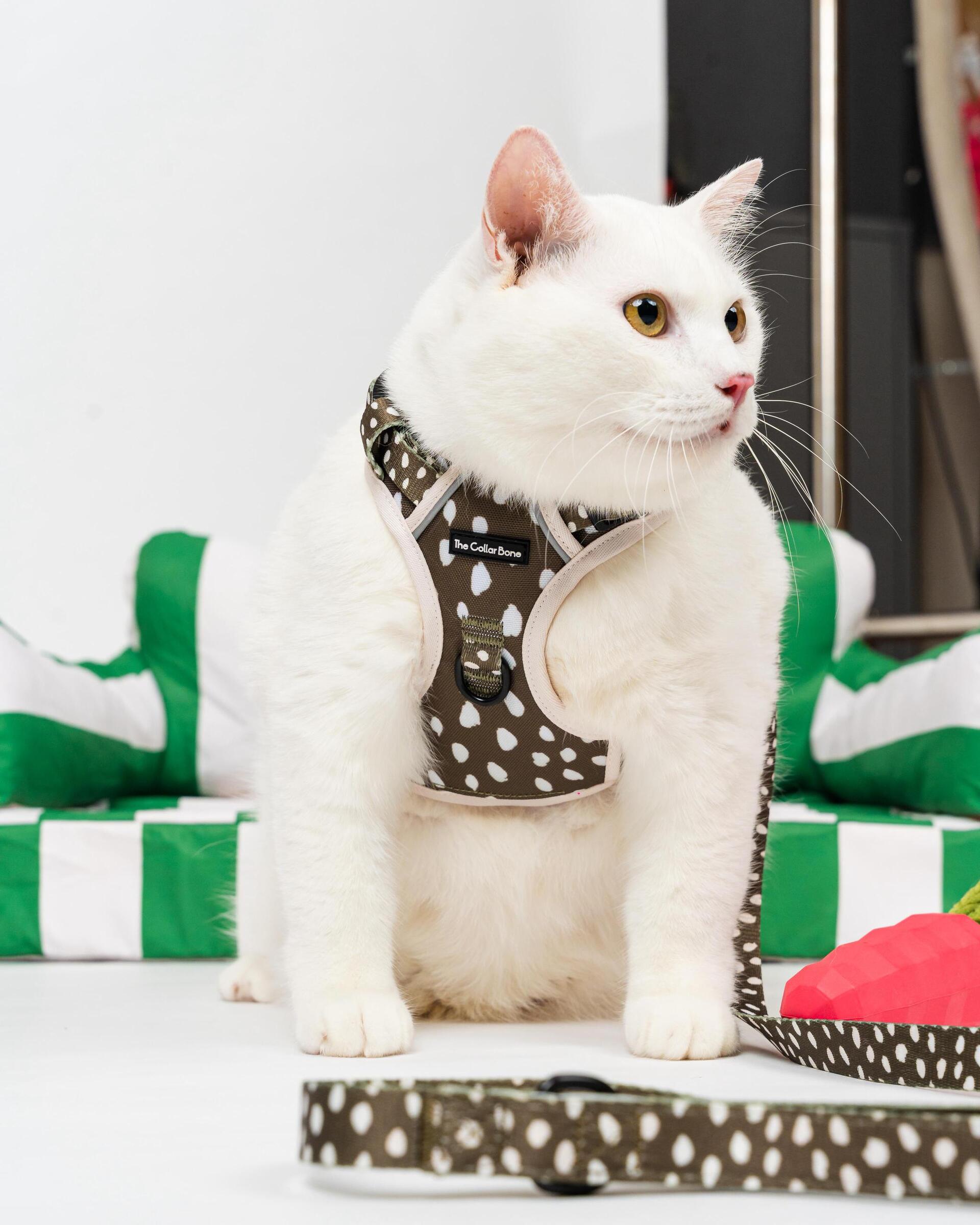 WhatsApp Image 2025-06-05 at 10.41.05 PM (1)