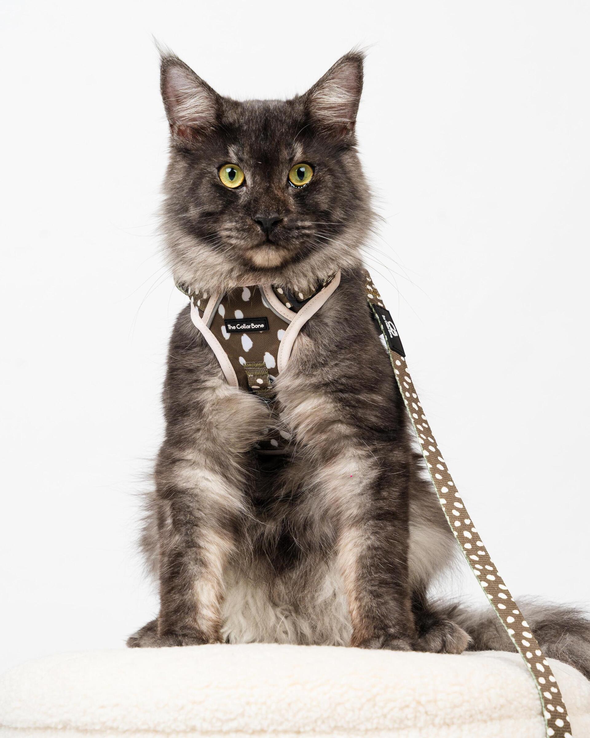 WhatsApp Image 2025-06-05 at 10.39.17 PM (2)