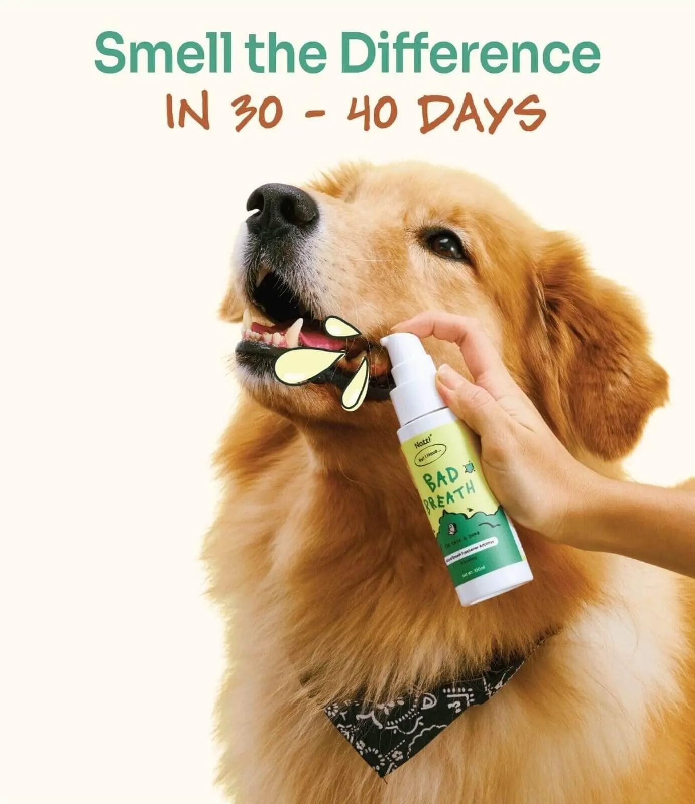 imgi_11_gallery-2_bad-breathe