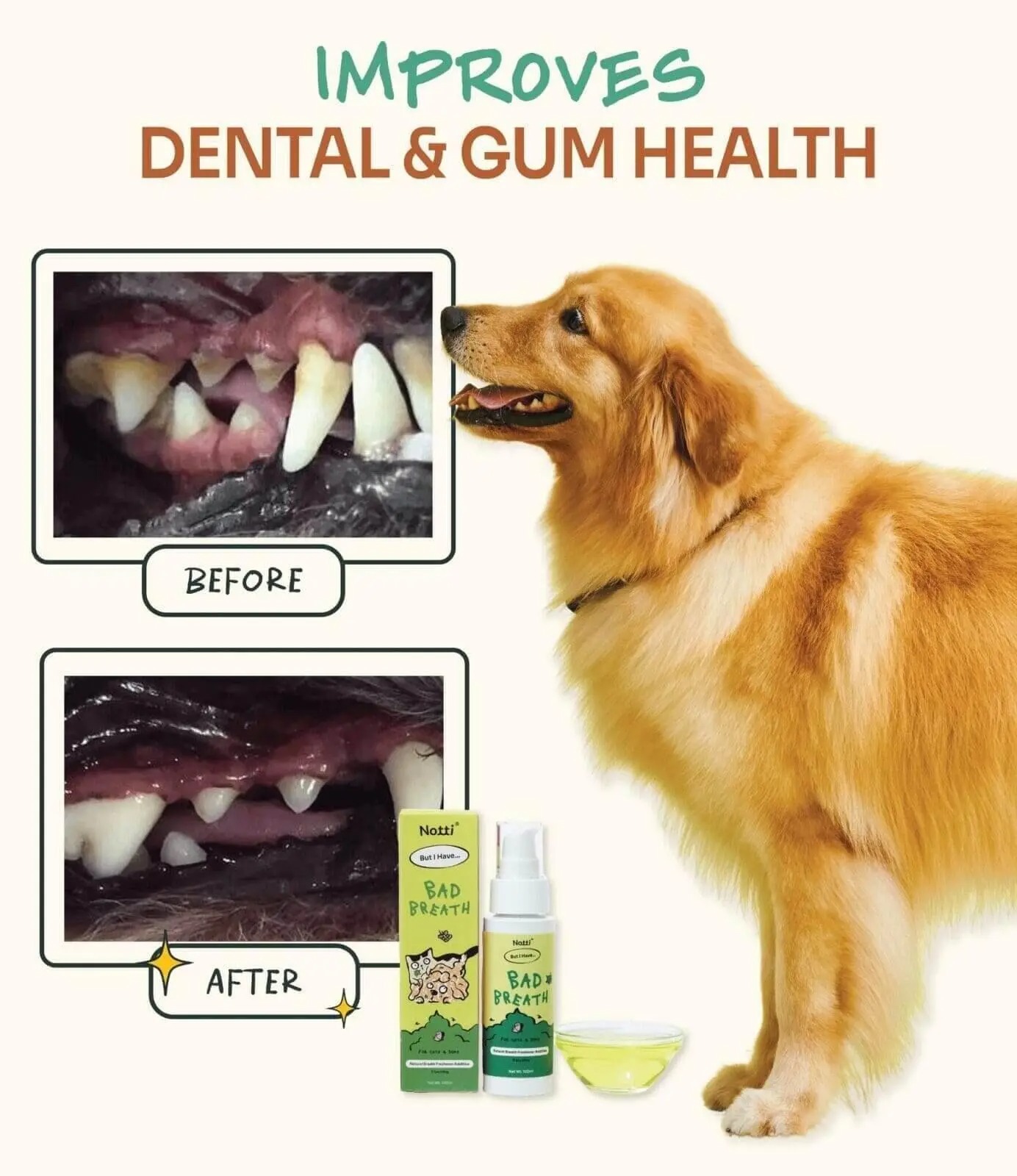 imgi_9_gallery-4_bad-breathe