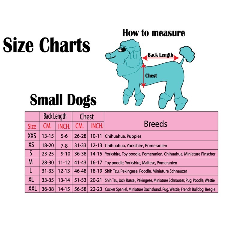 imgi_5_content-9-4-2025-4-31-05-PM