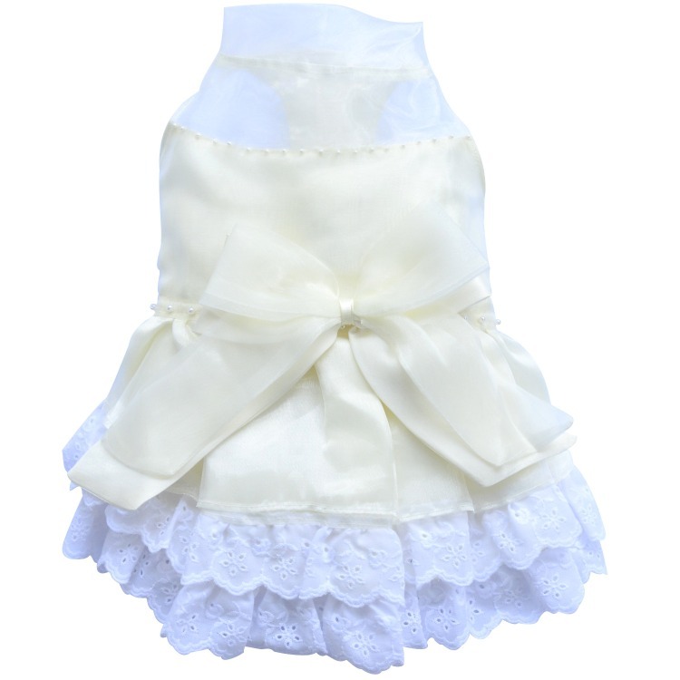 imgi_3_content-10-25-2022-8-09-53-AM