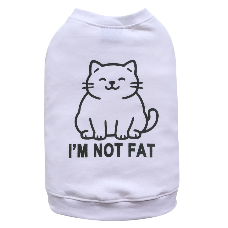 imgi_3_content-9-4-2025-2-53-00-PM