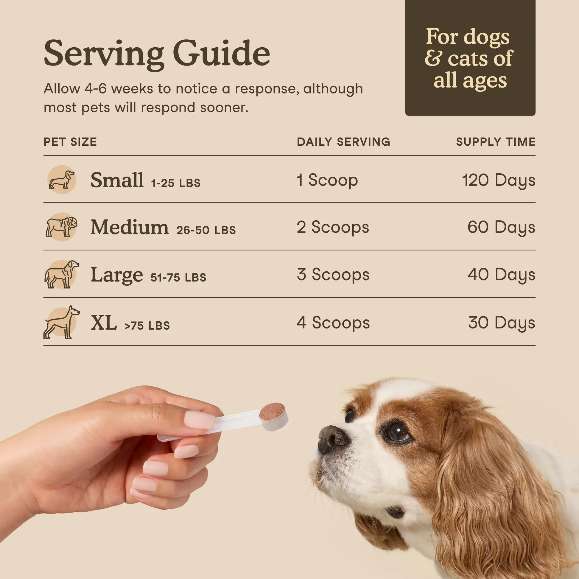 rqoiovhzfjcakitpr2jl