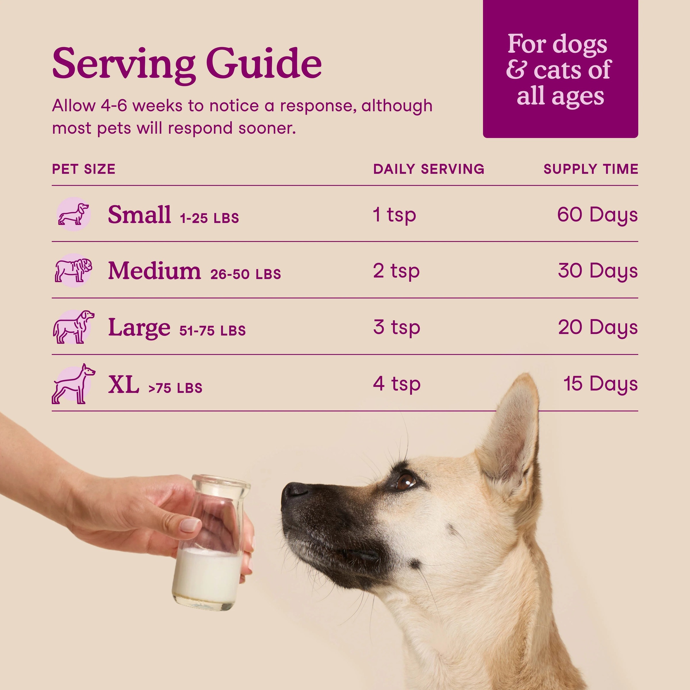 imgi_21_ng8n4vcwd2eqemkwgk7w