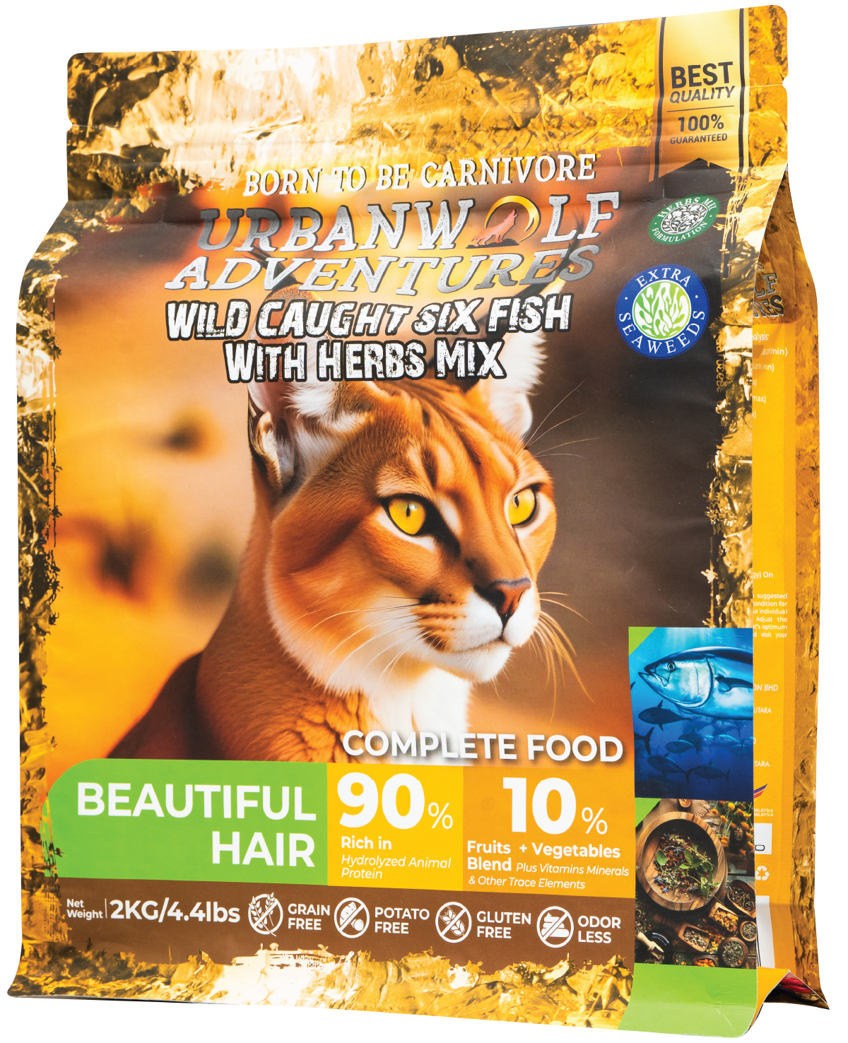 imgi_15_19.Beautiful Hair