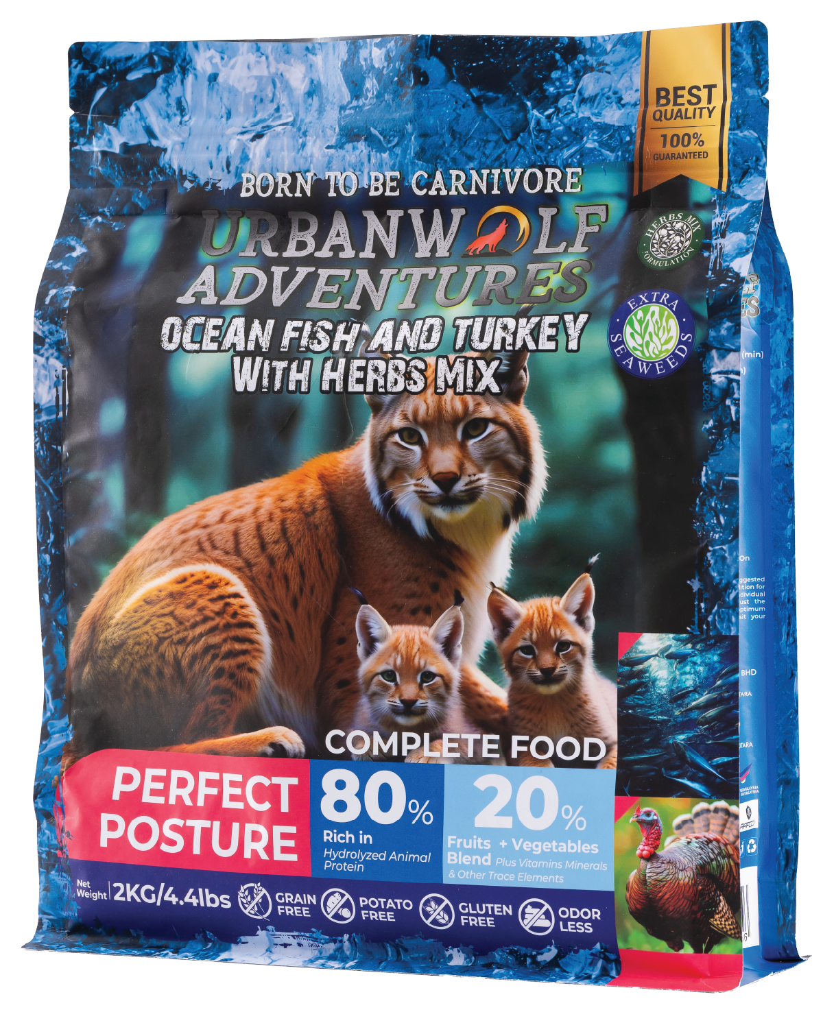 imgi_13_17.Perfect Posture