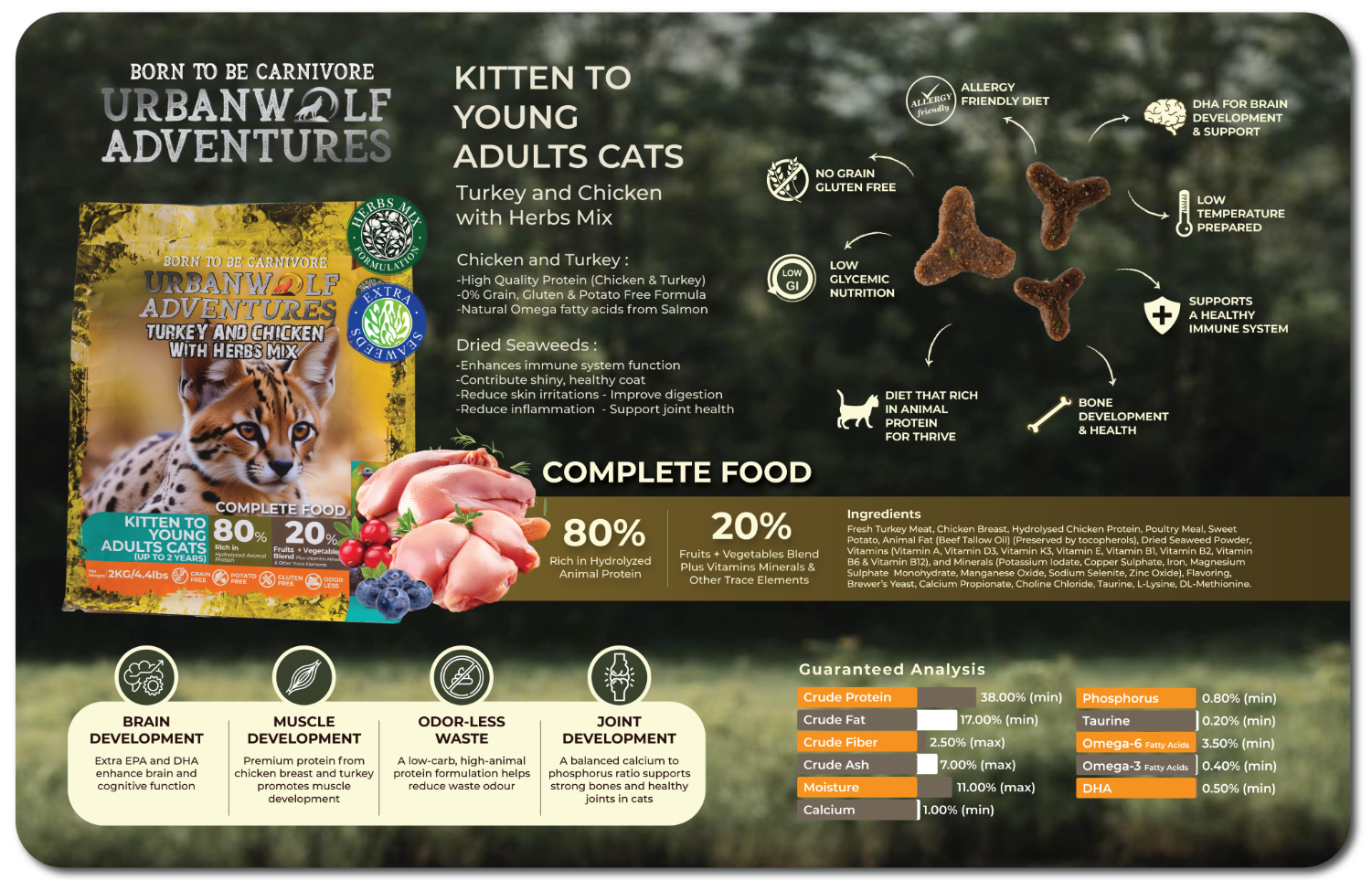 imgi_31_37.Parameter 5_s