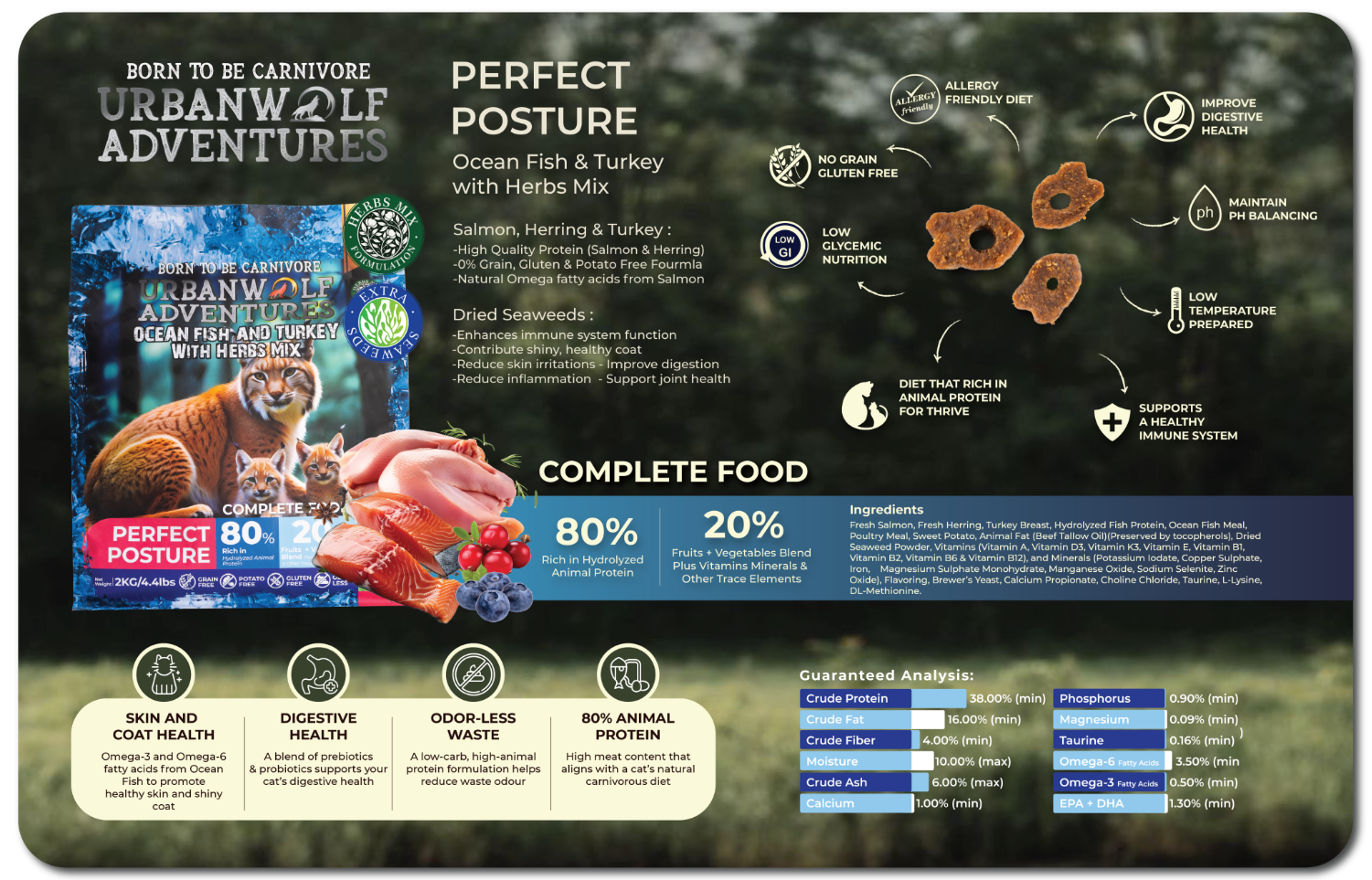 imgi_29_35.Parameter 3_s