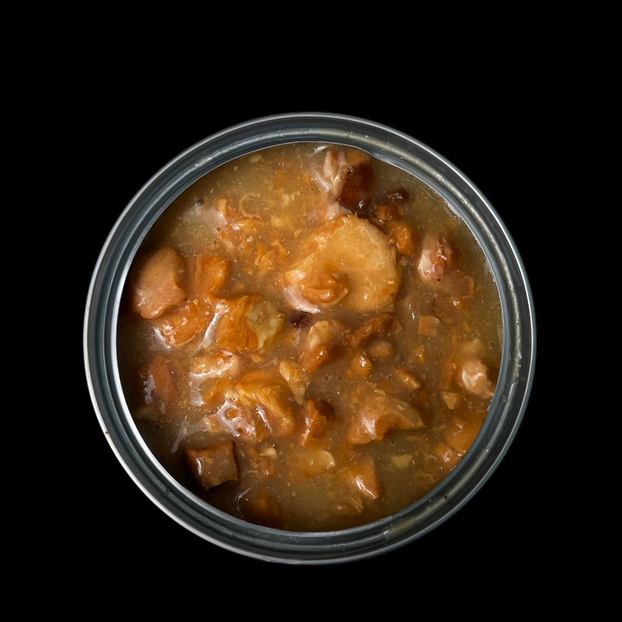 WhatsApp Image 2025-11-15 at 6.35.43 PM