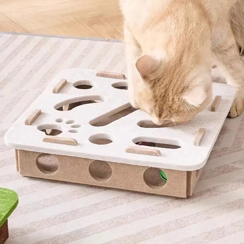 imgi_452_H81cb1f017a1447298d86651b07d263c43