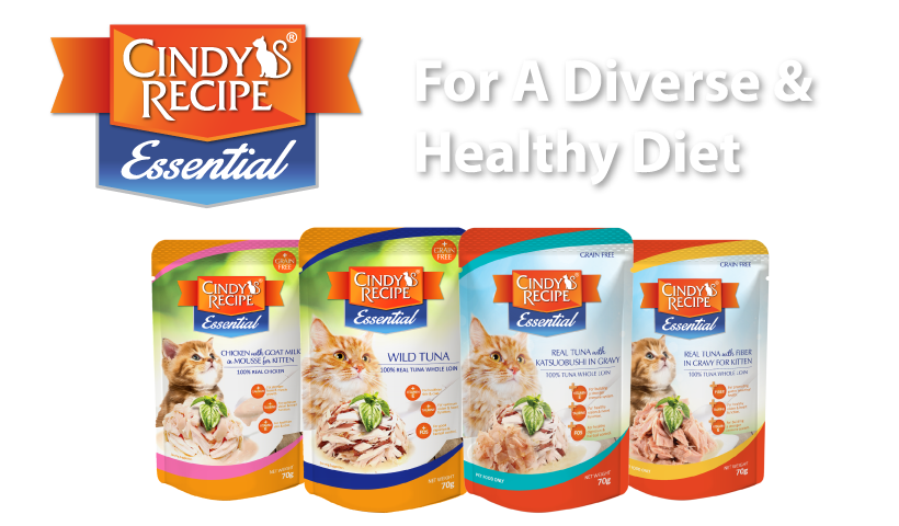 imgi_6_banner-essential-pouch