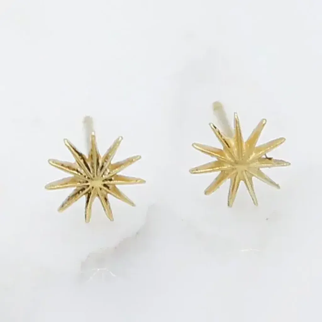 2000x