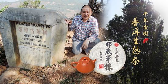  | 大時代普洱壺藝