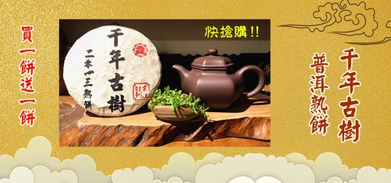  | 大時代普洱壺藝