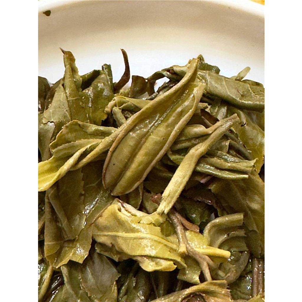 tw-11134207-7rasg-m18eslu6knisaf