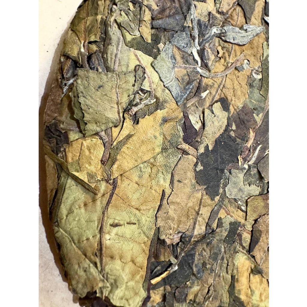 tw-11134207-7rasg-m18dlkbw1vkk80