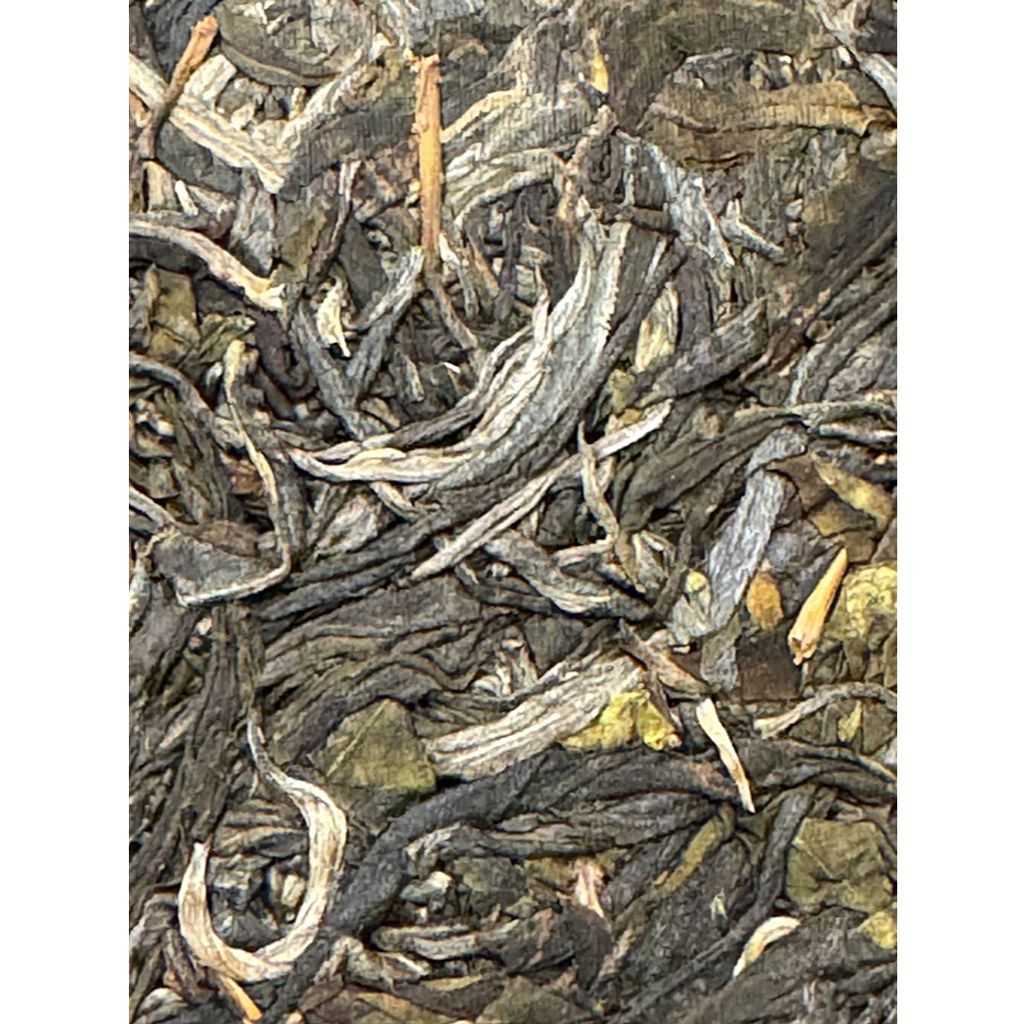 tw-11134207-7rase-m18f5hjtzimsda