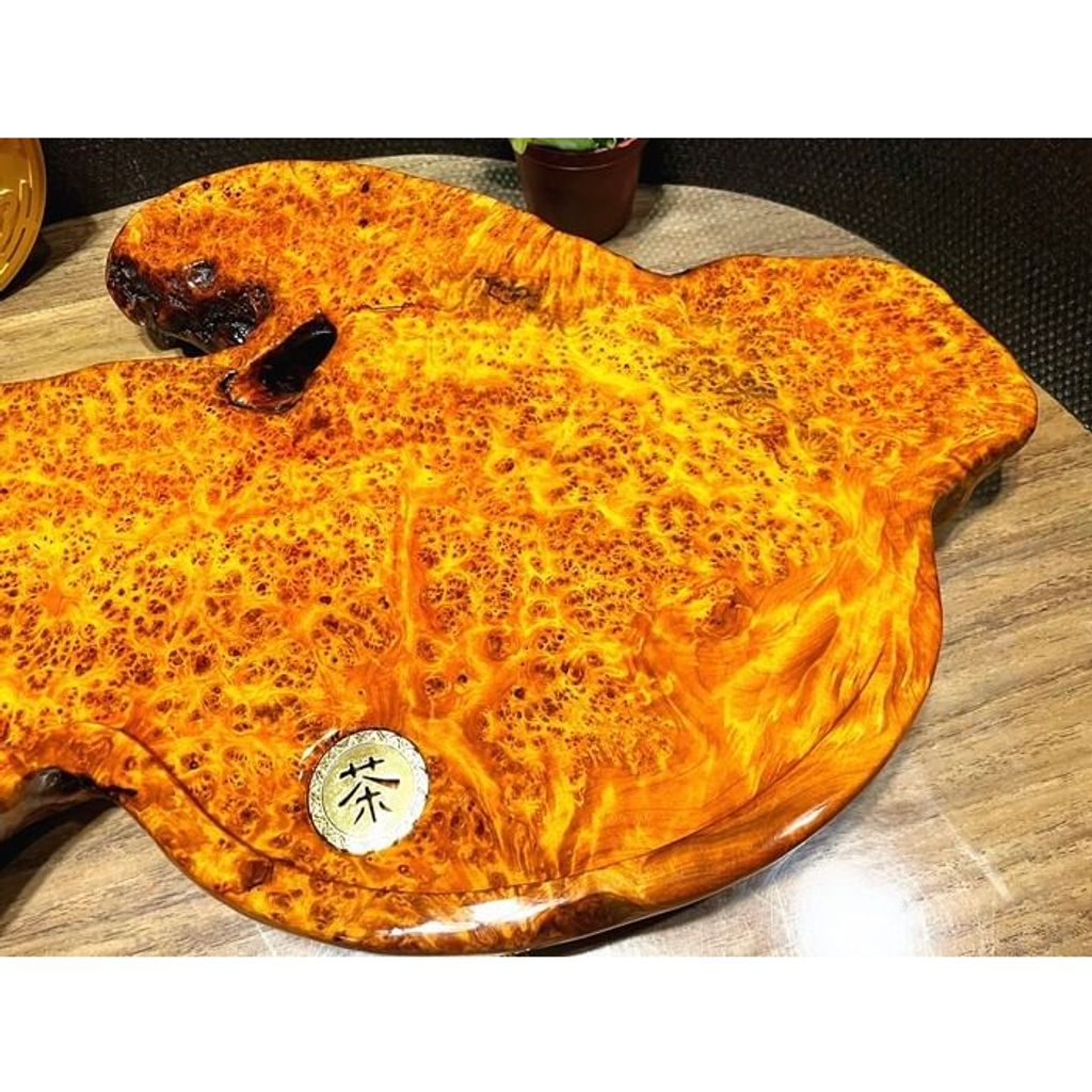 tw-11134207-23020-t6xht3p08bnvf2