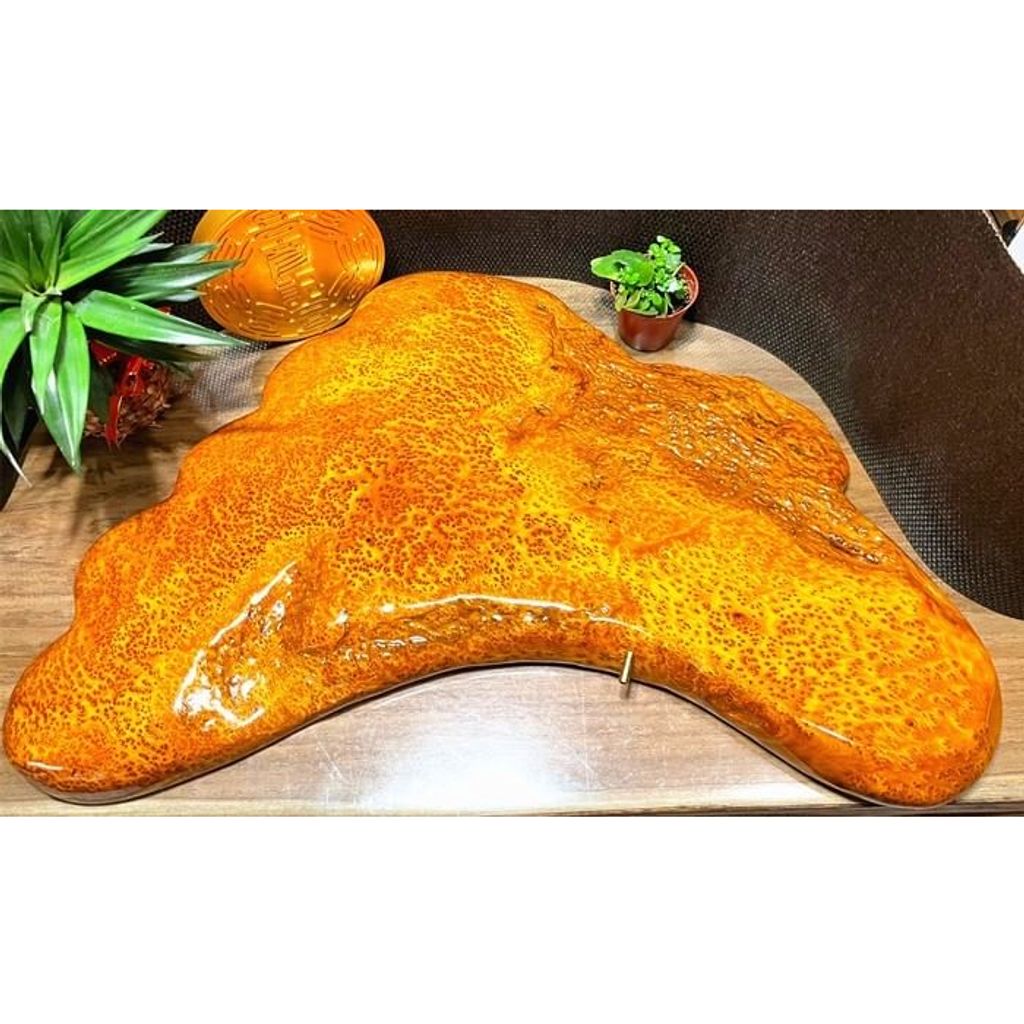 tw-11134207-23020-w6n62v358bnvff