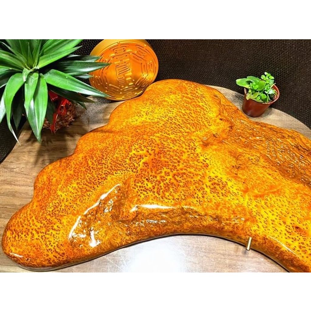 tw-11134207-23020-xk93px358bnv3a