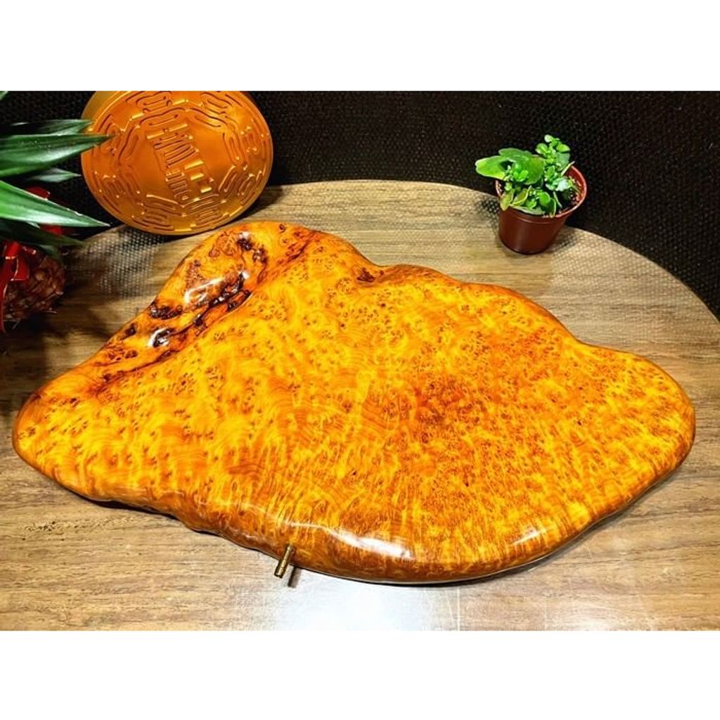 tw-11134207-23020-ci96u4gh9bnva1