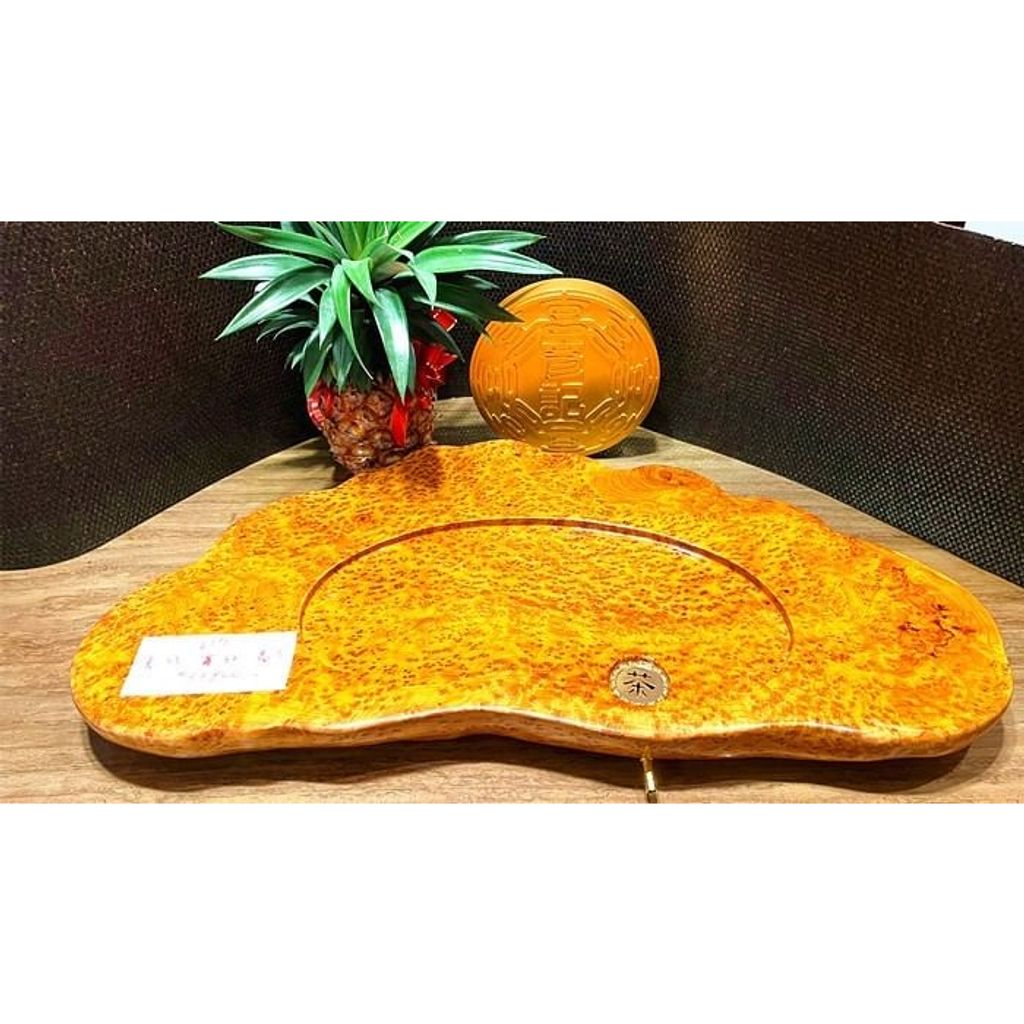 tw-11134207-23020-kkn0fj2v8bnv34