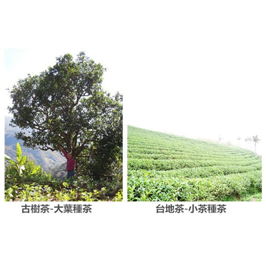 e4379c5163b5e3d574fed1b698efbe8e