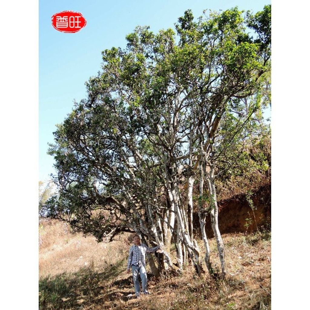 839c1610f13c748582450a2f6cac036c