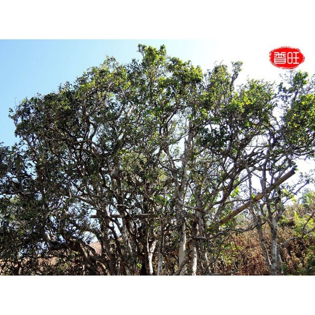 982791ce378e450b73378468965f0b58