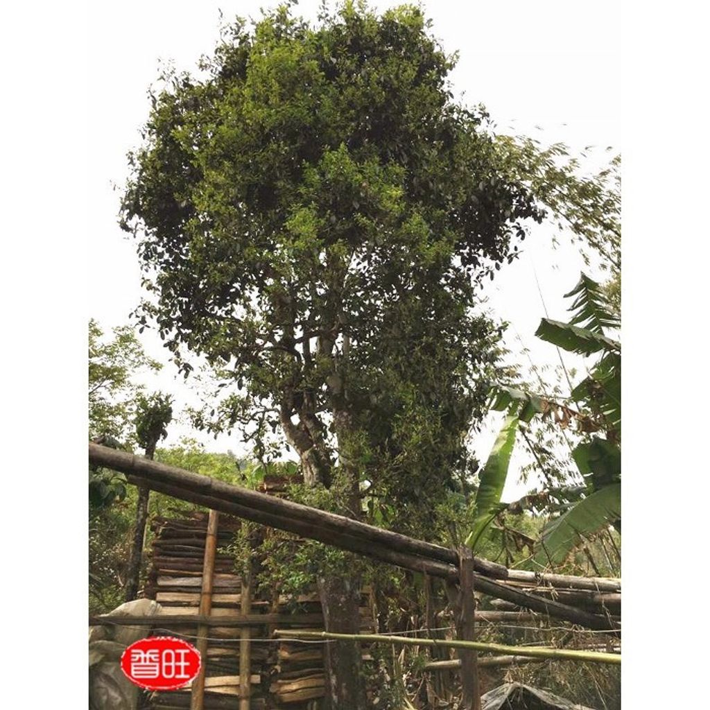 836fc29aa9f070efe9e61063cc56fd1d