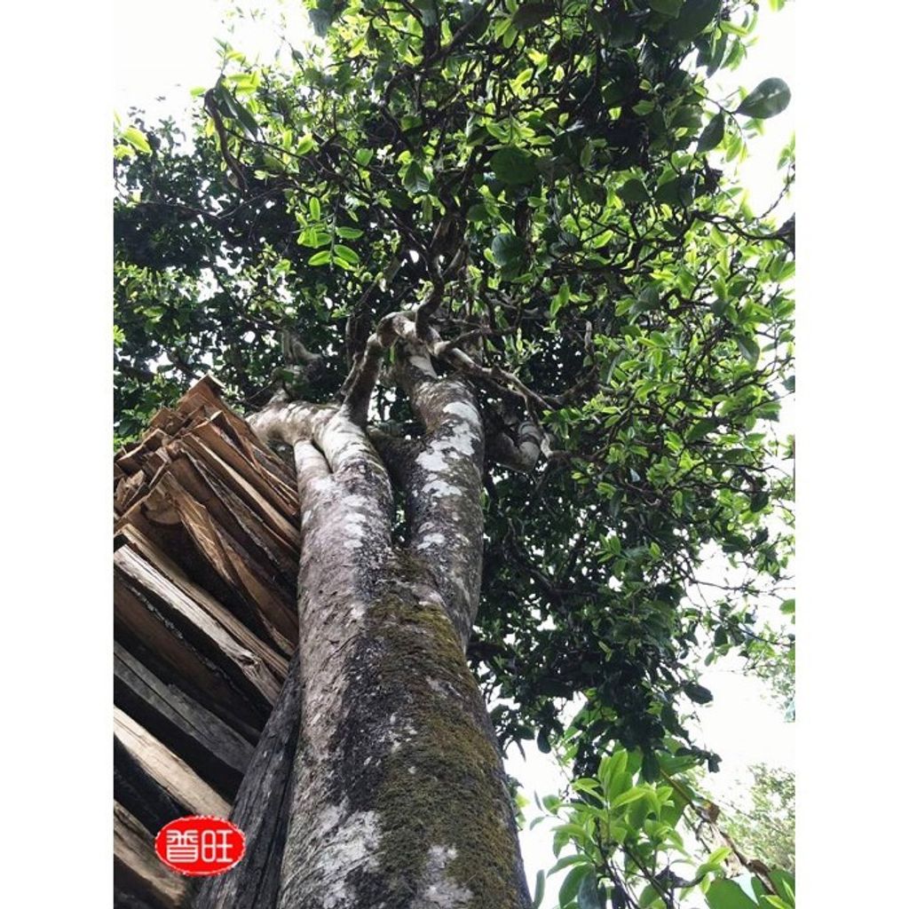 3b07a154561486154cf23ecc81fce03f