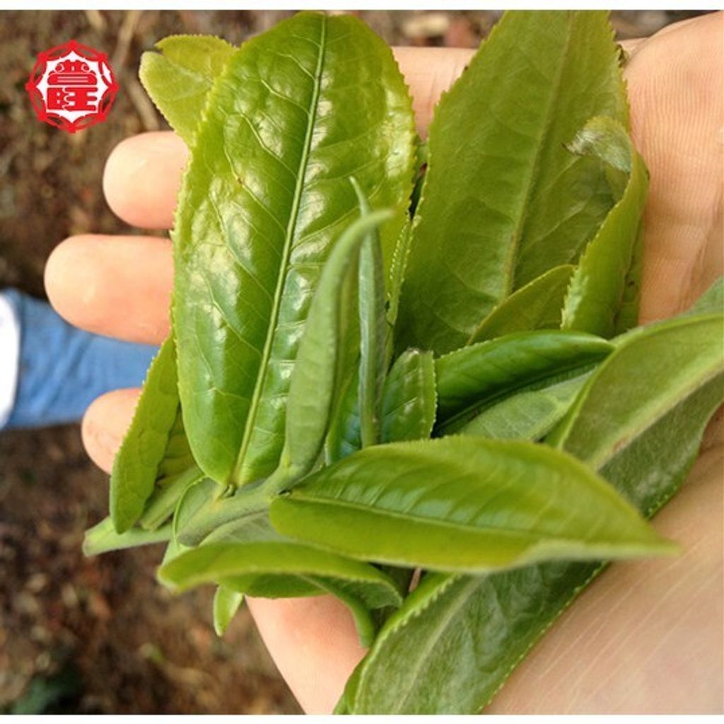 60a992fa50f2b04d91fc574b75008fe7