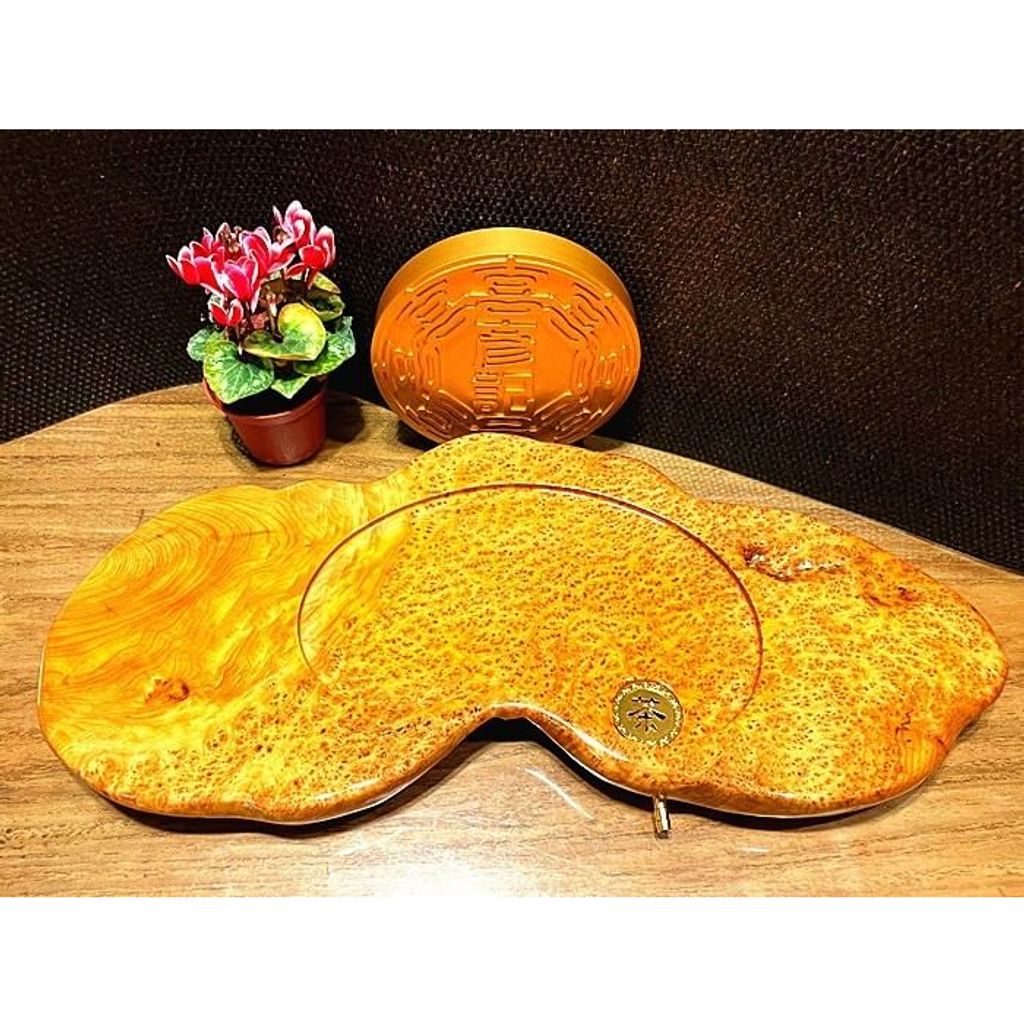 tw-11134207-23020-x1kzzxr97bnv21