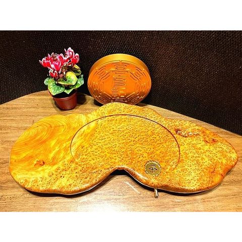 tw-11134207-23020-x1kzzxr97bnv21